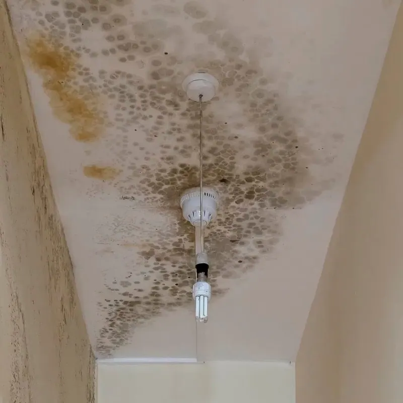 Widespread mold spots across a hallway ceiling around a light fixture