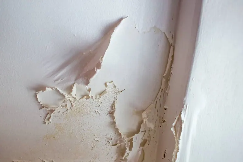Paint peeling and bubbling off a wall and ceiling where water has soaked in from a hidden leak