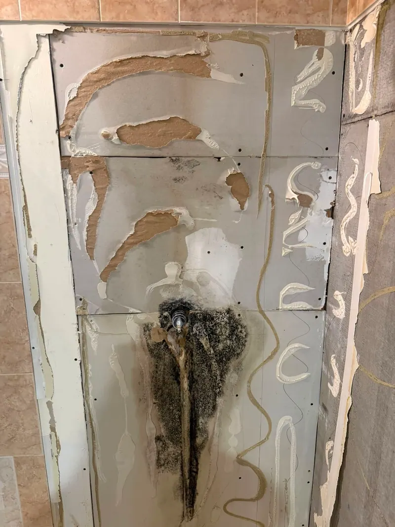 Shower wall opened up to expose black mold growing around the plumbing inside the wall cavity