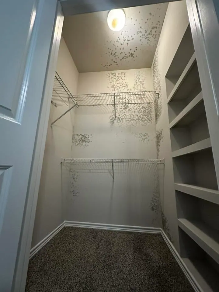 Mold spots on the walls and ceiling of a walk-in closet in a newer home